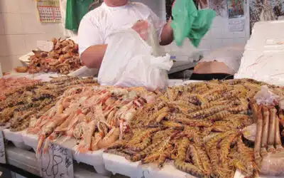 Mercado de Abastos